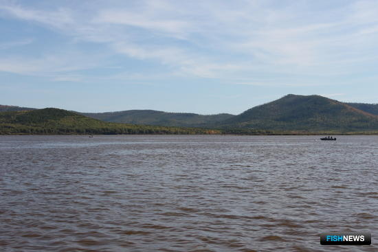 На Амуре взяли лососевых браконьеров На Амуре взяли лососевых браконьеров