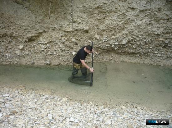 Больше река – пестрее «население» Больше река – пестрее «население»