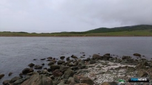 Дальневосточный морской заповедник переходит &laquo;под крыло&raquo; Минприроды