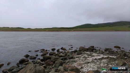 Дальневосточный морской заповедник переходит «под крыло» Минприроды Дальневосточный морской заповедник переходит «под крыло» Минприроды