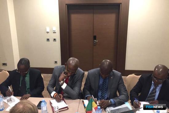 Россия и Африка наводят &laquo;рыбные мосты&raquo; на саммите в Сочи