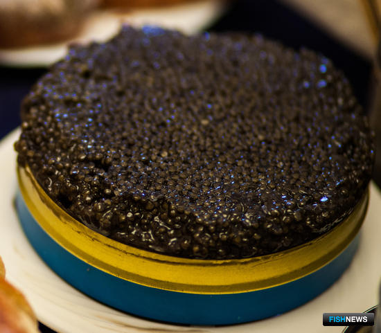 Икорные контрабандисты отправятся в колонию