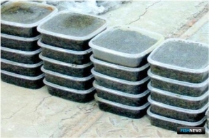 Амурские браконьеры несут потери