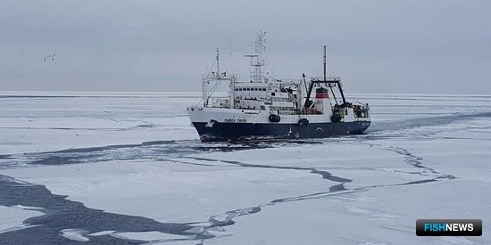 РРПК сменила прописку на Владивосток РРПК сменила прописку на Владивосток