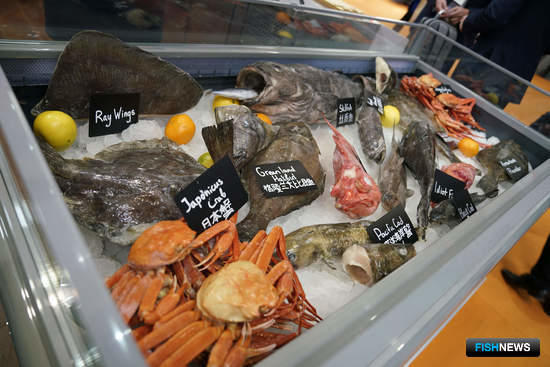 Russian Fish представят в Циндао