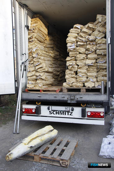 Крупную партию браконьерской осетрины перехватили в Приморье