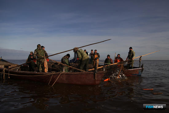 Новгородским рыбакам помешали перечни участков Новгородским рыбакам помешали перечни участков