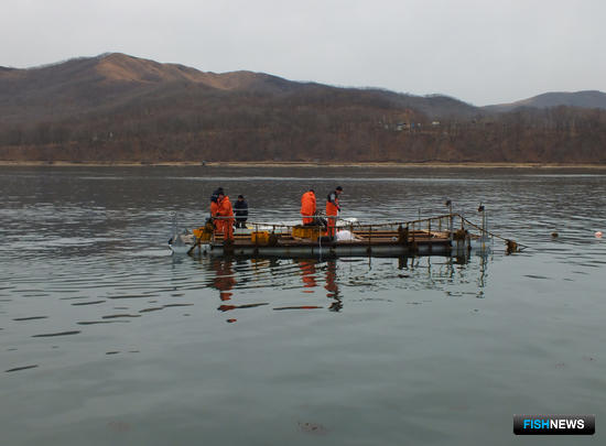 В методике для торгов по рыбоводным участкам учли время на ГЭЭ