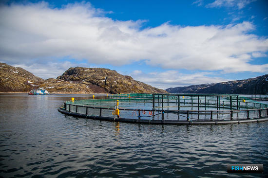 Заполярье составило &laquo;рыбный&raquo; прогноз