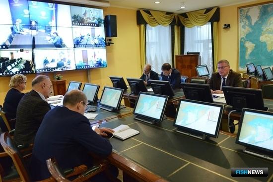 Иваси отходит в воды Японии Иваси отходит в воды Японии