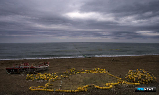 Проблемы Сахалина на путине-2019 изучат отдельно Проблемы Сахалина на путине-2019 изучат отдельно