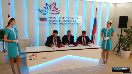 Экономику Дальнего Востока будут продвигать на ВЭФ Экономику Дальнего Востока будут продвигать на ВЭФ