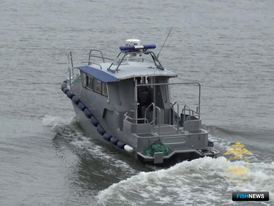 «Землю леопарда» атакуют лососевые браконьеры «Землю леопарда» атакуют лососевые браконьеры