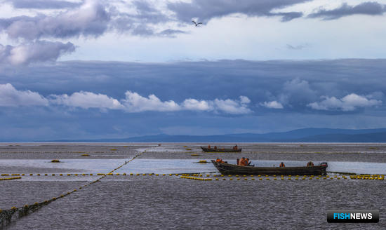 Общественный совет предложил детально обсудить вопрос с участками