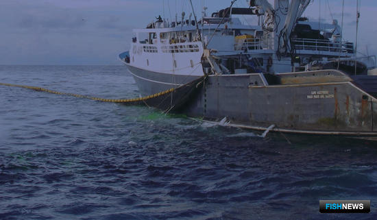 Исследователи США указали на &laquo;темные пятна&raquo; океанического рыболовства