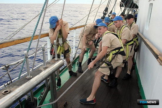 Курсанты «Паллады» получают важные навыки в кругосветке Курсанты «Паллады» получают важные навыки в кругосветке