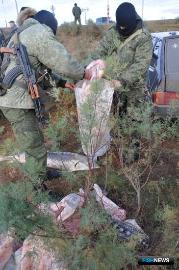 Осетровой банде дали реальные сроки