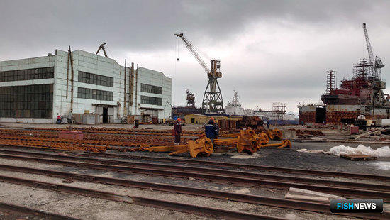 Сенаторы ждут краболовов Сенаторы ждут краболовов