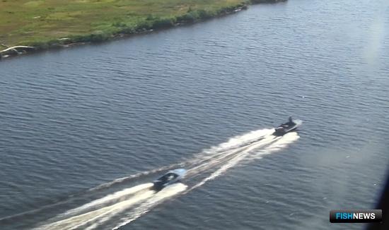 Браконьеры Сахалина лишились 7,5 тонны икры