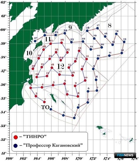 Горбуша не обещает больших подходов в 2020 году Горбуша не обещает больших подходов в 2020 году