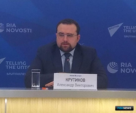 Стратегия для Арктики учтет интересы рыбного хозяйства