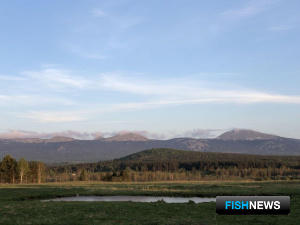 Новая ООПТ на Южном Урале защитит и рыбу Новая ООПТ на Южном Урале защитит и рыбу