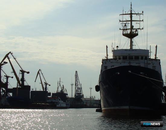 Экипажи не следовало произвольно урезать