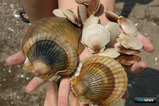 Аквакультуре предложили помощь из резервного фонда