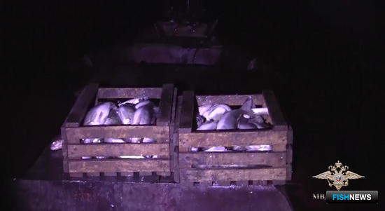 Дело о «научном» браконьерстве расследует полиция Дело о «научном» браконьерстве расследует полиция