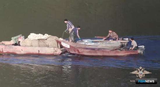 Дело о «научном» браконьерстве расследует полиция Дело о «научном» браконьерстве расследует полиция