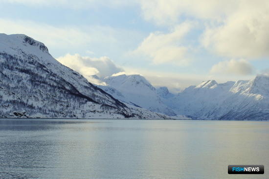 Желающим вести «конвенционный промысел» рекомендуют поторопиться Желающим вести «конвенционный промысел» рекомендуют поторопиться