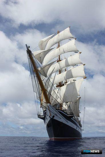 На «Палладе» отправили практикантов за борт На «Палладе» отправили практикантов за борт