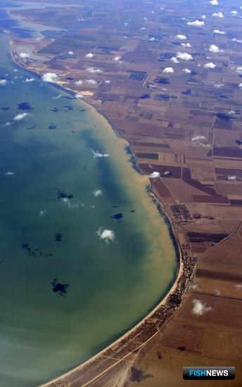 Рыбоводные участки Крыма разыграют на новогоднем аукционе Рыбоводные участки Крыма разыграют на новогоднем аукционе