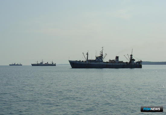 Механизм инвестквот настраивают поправками Механизм инвестквот настраивают поправками