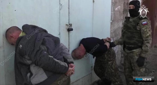 Трафик черной икры хотели наладить с Амура на Кубань Трафик черной икры хотели наладить с Амура на Кубань