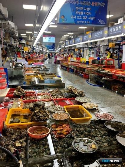 Филиппины и Южная Корея расширят сотрудничество в рыбном хозяйстве Филиппины и Южная Корея расширят сотрудничество в рыбном хозяйстве