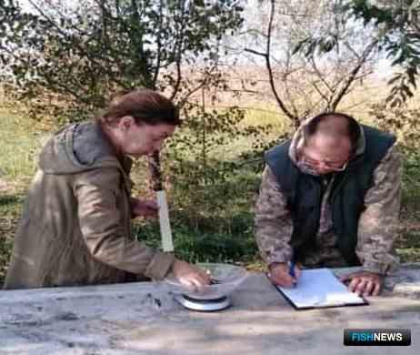 Донских раков посчитали ученые Донских раков посчитали ученые