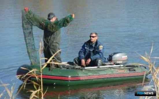 Донских раков посчитали ученые Донских раков посчитали ученые