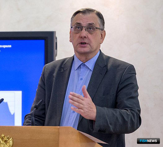 Мировой океан: Россия рискует опоздать к раздаче