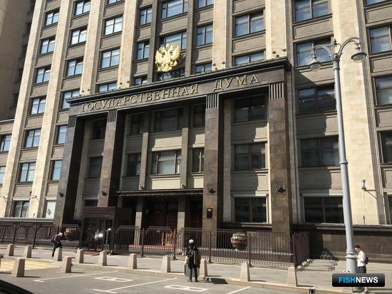 За контроль и надзор возьмется Госдума