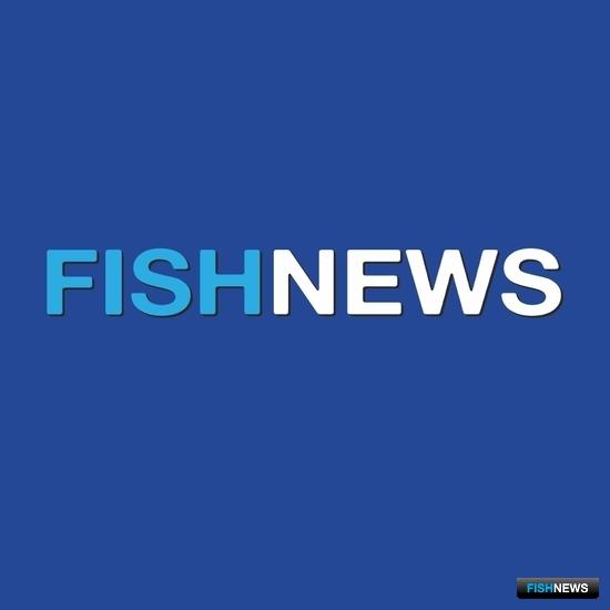 Подписка на Fishnews – легко и удобно Подписка на Fishnews – легко и удобно