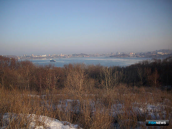 Остров Русский в Приморье хотят развивать как кластер