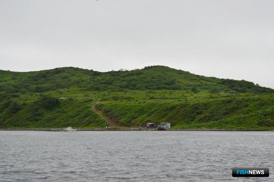 Владимир Стоянов: Пока не изменим законы &ndash; Китай не догоним