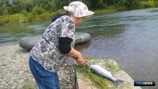 ФАДН предложило порядок возмещения убытка коренным народам