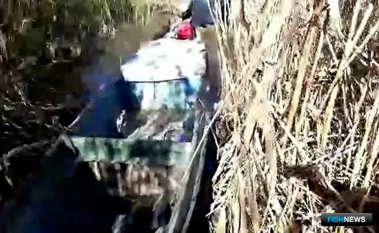 Браконьерскую осетрину нашли в камышах
