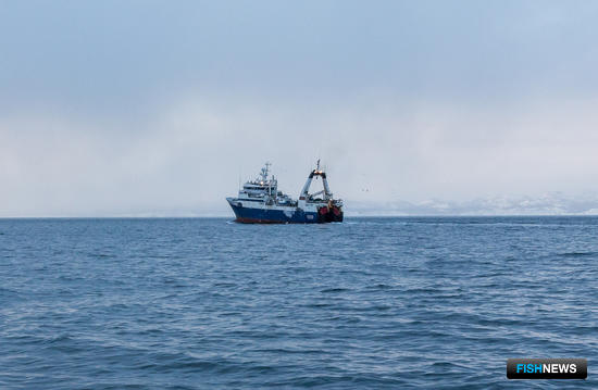 Росрыболовство откажется от плановых проверок в море
