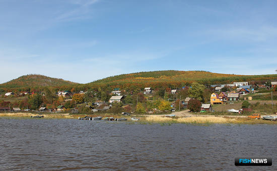 Максим Бергеля: Хабаровский край смотрит на рыбу теперь совершенно иначе