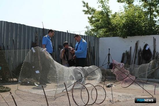 Белорусам дали возможность избежать штрафов за браконьерство Белорусам дали возможность избежать штрафов за браконьерство