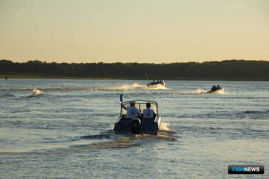 Для оздоровления Волги готовят субсидии