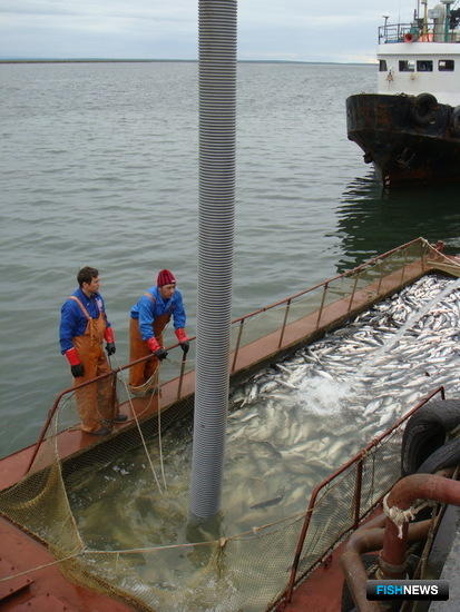 Рыбакам Камчатки дали ориентир по взаимодействию с пограничниками